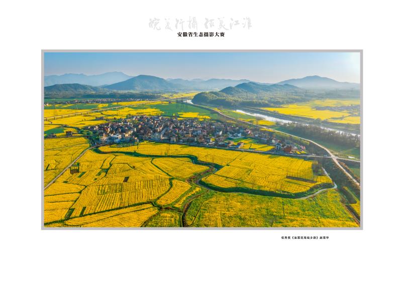 《油菜花海绘乡韵》