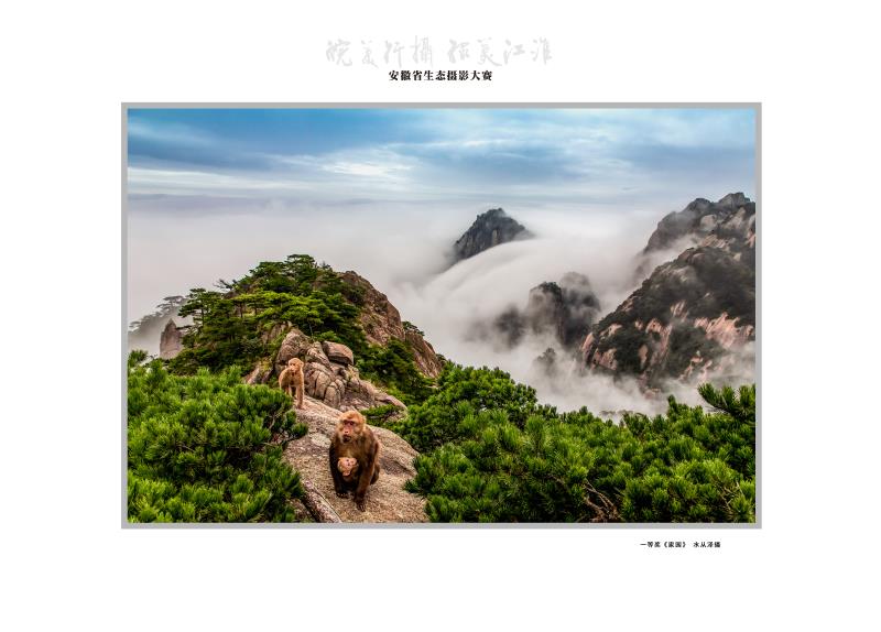 一等奖《家园》